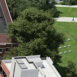 University of Pikeville Interactive Campus AnyMap
